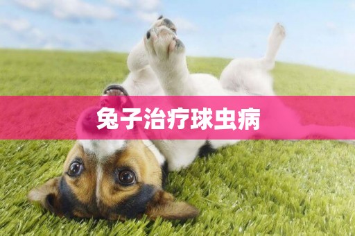 兔子治療球蟲病