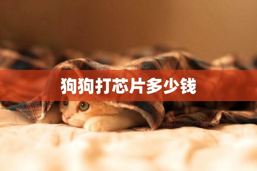 狗狗打芯片多少錢