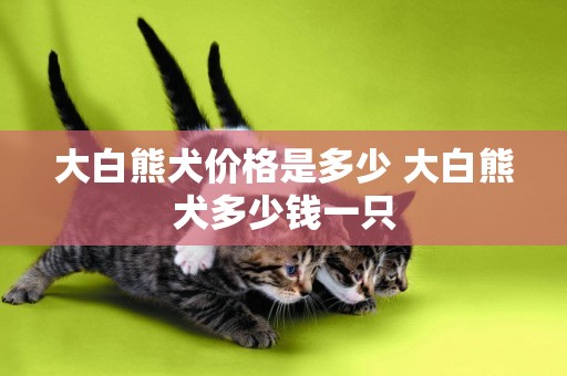 大白熊犬價格是多少 大白熊犬多少錢一只