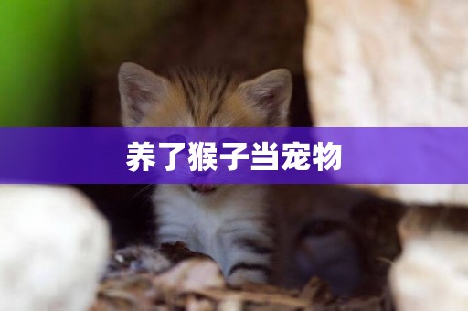 養了猴子當寵物