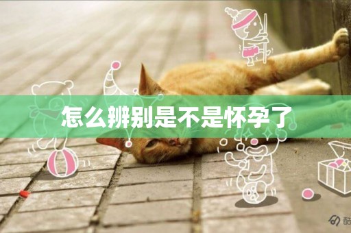 怎么辨別是不是懷孕了