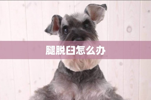 腿脫臼怎么辦