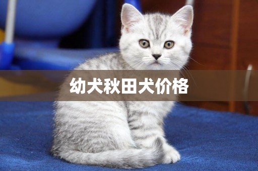幼犬秋田犬價格
