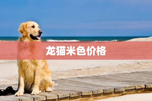 龍貓米色價格