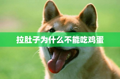 拉肚子為什么不能吃雞蛋
