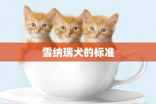 雪納瑞犬的標準