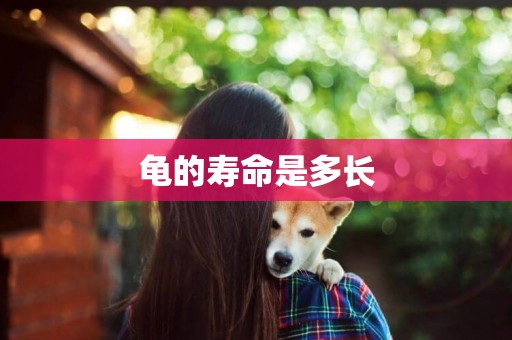 龜的壽命是多長