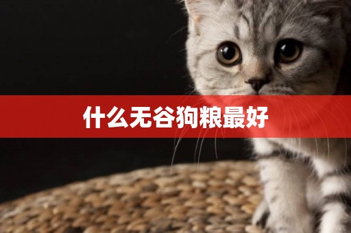 什么無谷狗糧最好