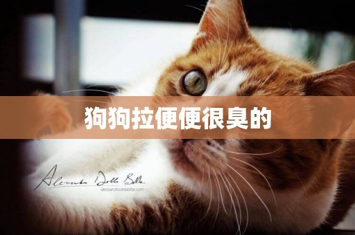 狗狗拉便便很臭的