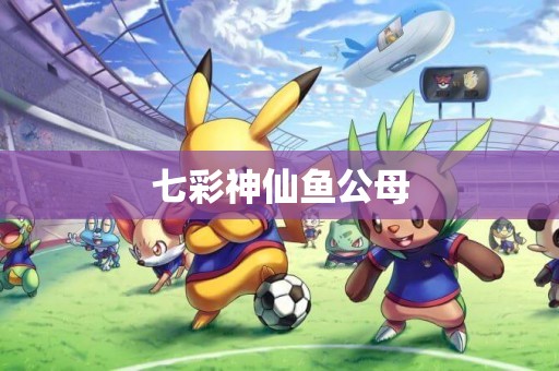 七彩神仙魚公母
