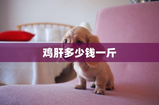 雞肝多少錢一斤