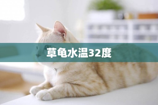 草龜水溫32度