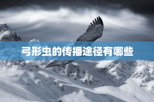 弓形蟲的傳播途徑有哪些