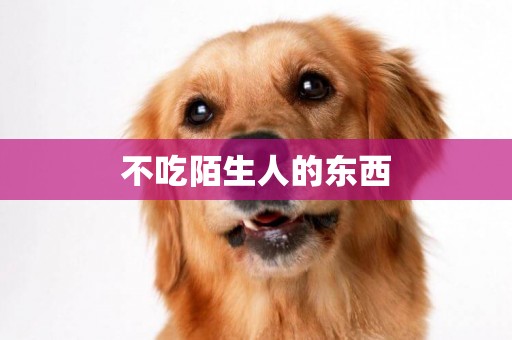 不吃陌生人的東西