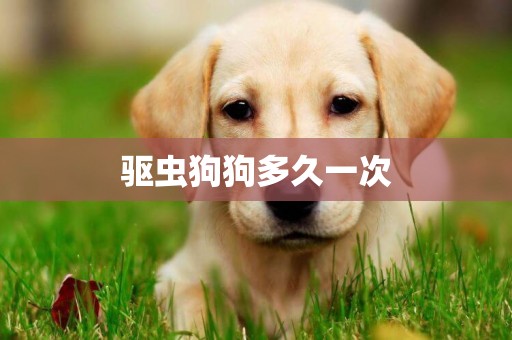 驅蟲狗狗多久一次