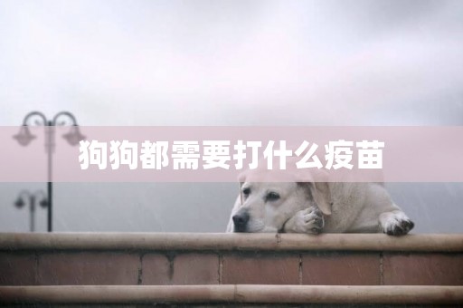 狗狗都需要打什么疫苗