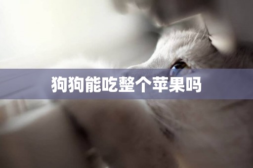 狗狗能吃整個蘋果嗎