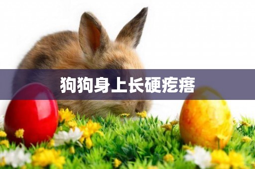 狗狗身上長硬疙瘩