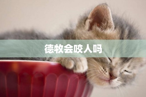 德牧會咬人嗎