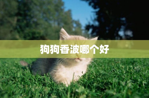 狗狗香波哪個好