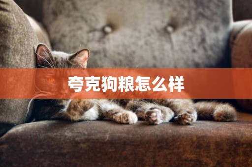 夸克狗糧怎么樣