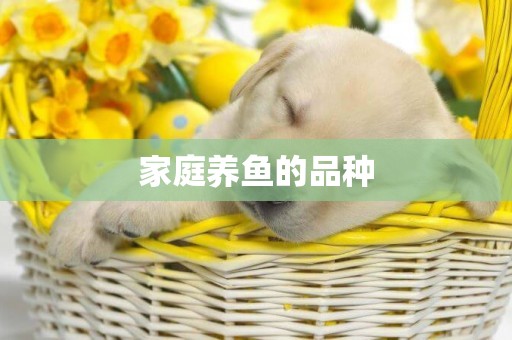 家庭養魚的品種