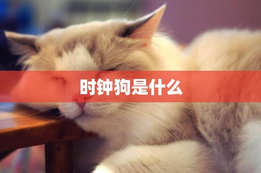 時鐘狗是什么