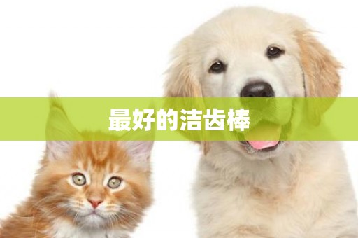 最好的潔齒棒