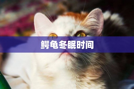鱷龜冬眠時間