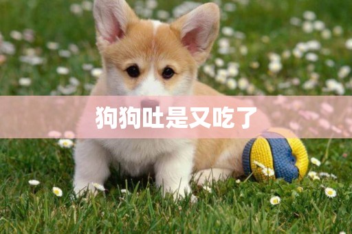 狗狗吐是又吃了