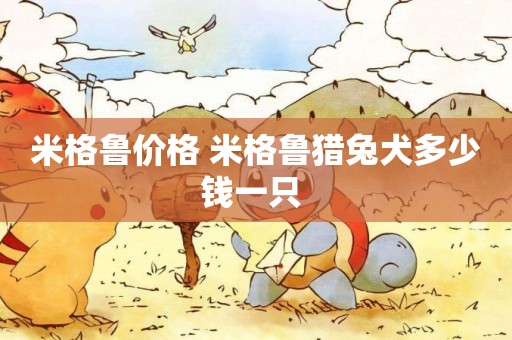 米格魯價格 米格魯獵兔犬多少錢一只 