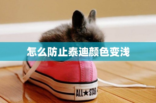 怎么防止泰迪顏色變淺