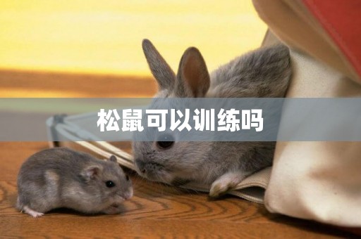 松鼠可以訓練嗎