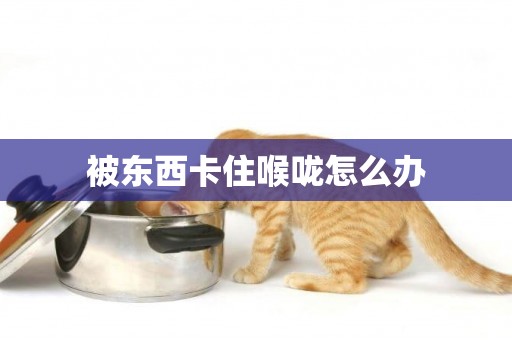 被東西卡住喉嚨怎么辦