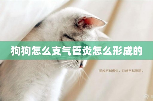 狗狗怎么支氣管炎怎么形成的