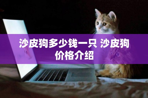 沙皮狗多少錢一只 沙皮狗價格介紹