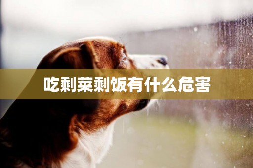 吃剩菜剩飯有什么危害