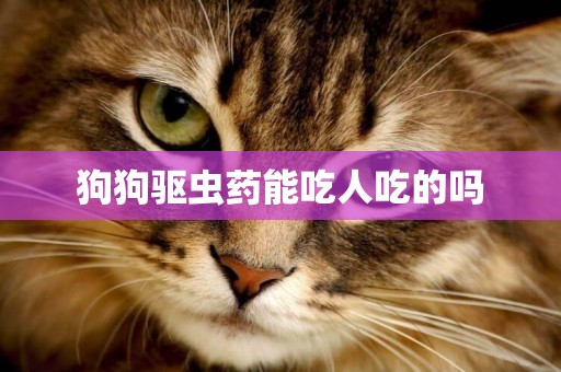 狗狗驅蟲藥能吃人吃的嗎