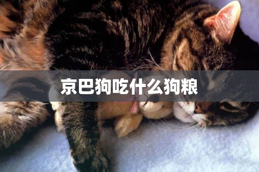 京巴狗吃什么狗糧