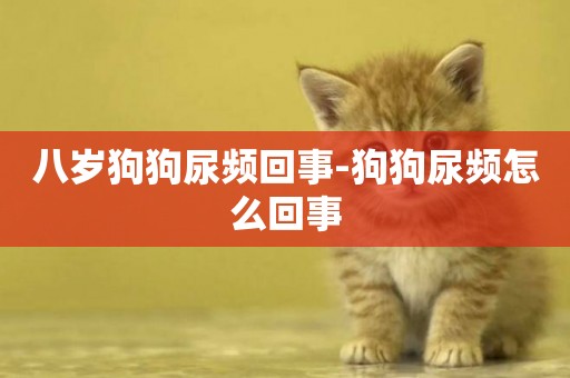 八歲狗狗尿頻回事-狗狗尿頻怎么回事