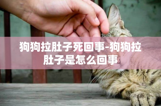 狗狗拉肚子死回事-狗狗拉肚子是怎么回事