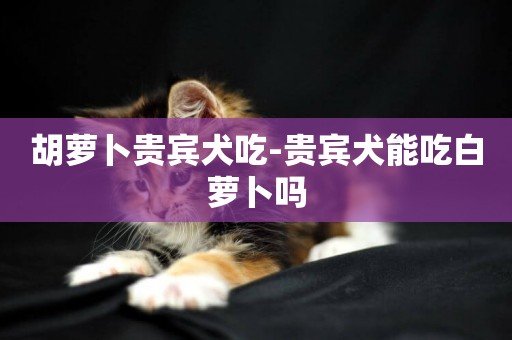 胡蘿卜貴賓犬吃-貴賓犬能吃白蘿卜嗎