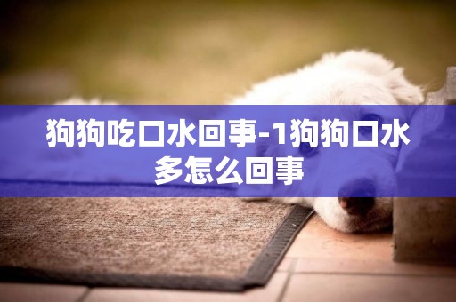 狗狗吃口水回事-1狗狗口水多怎么回事