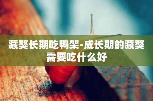 藏獒長期吃鴨架-成長期的藏獒需要吃什么好