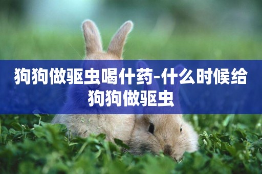 狗狗做驅蟲喝什藥-什么時候給狗狗做驅蟲