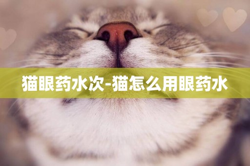 貓眼藥水次-貓怎么用眼藥水