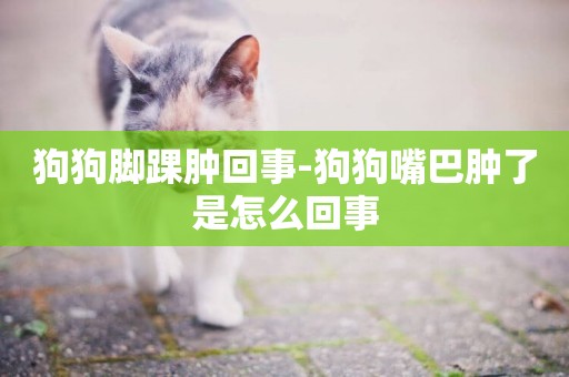 狗狗腳踝腫回事-狗狗嘴巴腫了是怎么回事