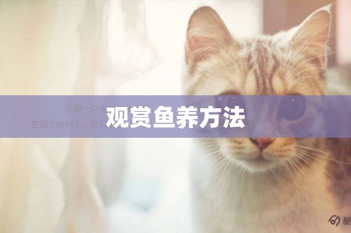 觀賞魚養方法