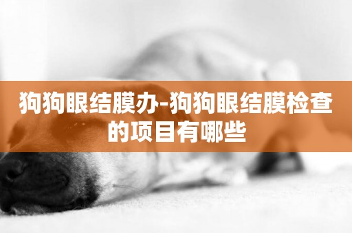 狗狗眼結膜辦-狗狗眼結膜檢查的項目有哪些