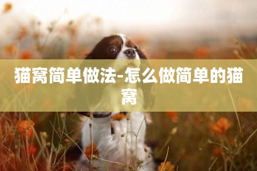 貓窩簡單做法-怎么做簡單的貓窩